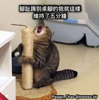 腳趾踢到桌腳的我就這樣維持了五分鐘