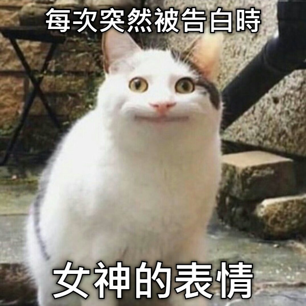 每次突然被告白時 女神的表情