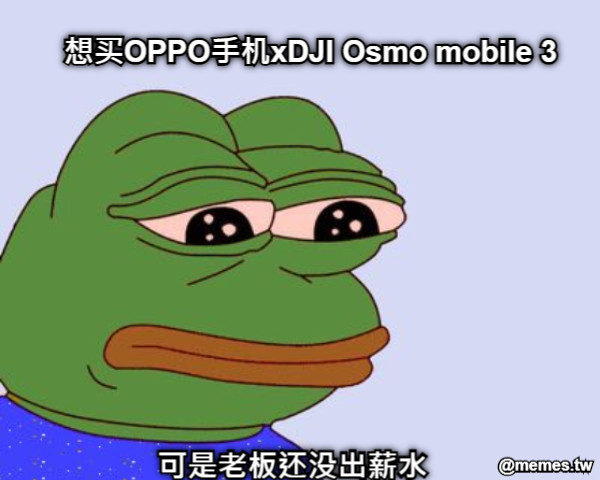 想买OPPO手机xDJI Osmo mobile 3 可是老板还没出薪水