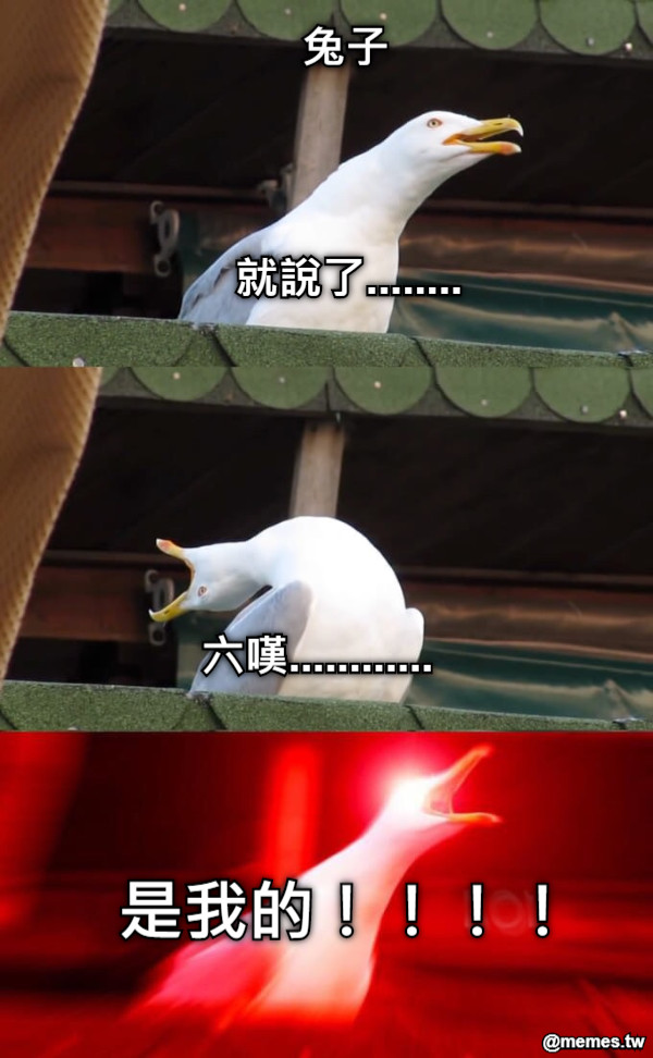 就說了........ 六嘆............ 兔子 是我的！！！！