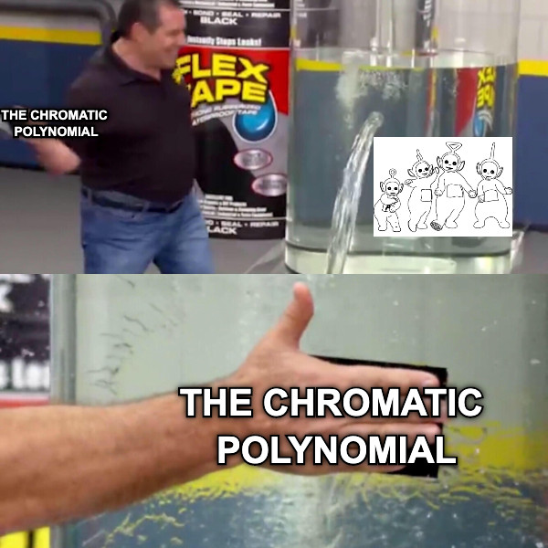 THE CHROMATIC  POLYNOMIAL THE CHROMATIC  POLYNOMIAL