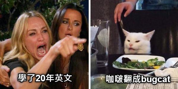 學了20年英文 咖啵翻成bugcat