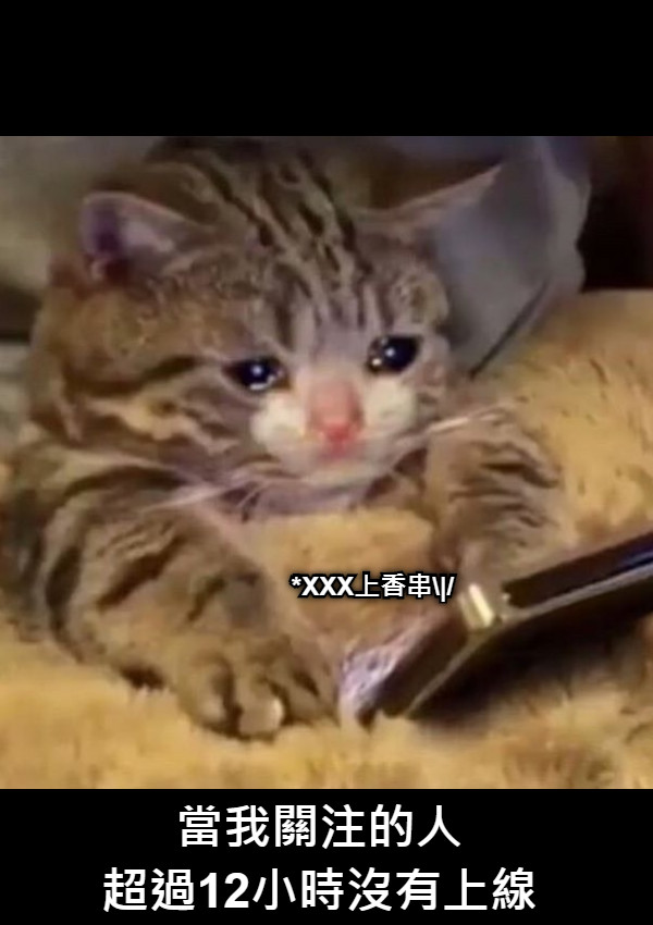當我關注的人 超過12小時沒有上線 *XXX上香串|/