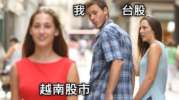 我           台股 越南股市