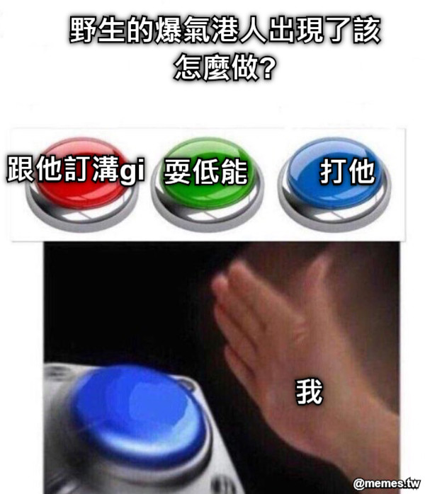 野生的爆氣港人出現了該怎麼做?  打他 耍低能 跟他訂溝gi  我