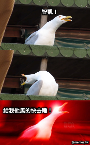 智凱！ 給我他馬的快去睡！