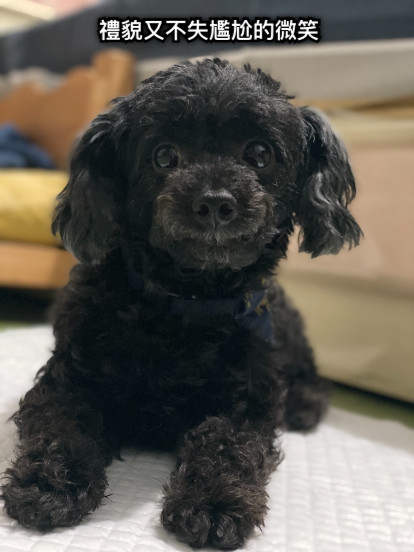 禮貌又不失尷尬的微笑