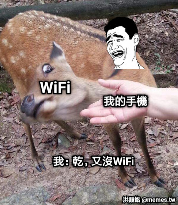 WiFi 我的手機 我：乾，又沒WiFi