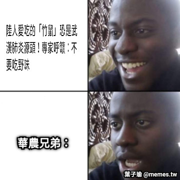 華農兄弟：