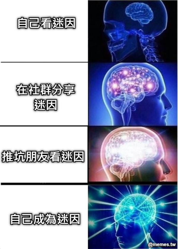 自己看迷因 自己成為迷因 推坑朋友看迷因 在社群分享迷因