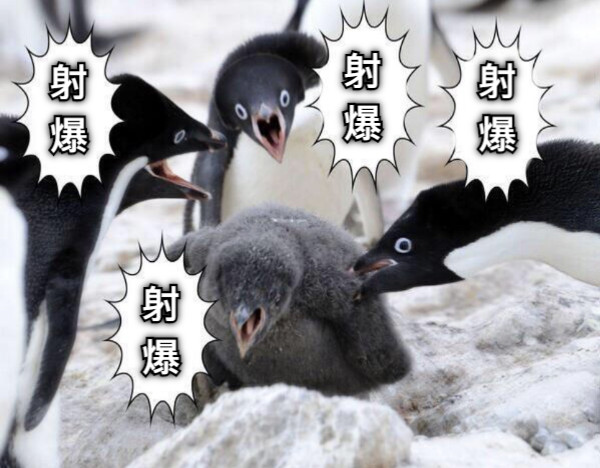 射爆 射爆 射爆 射爆