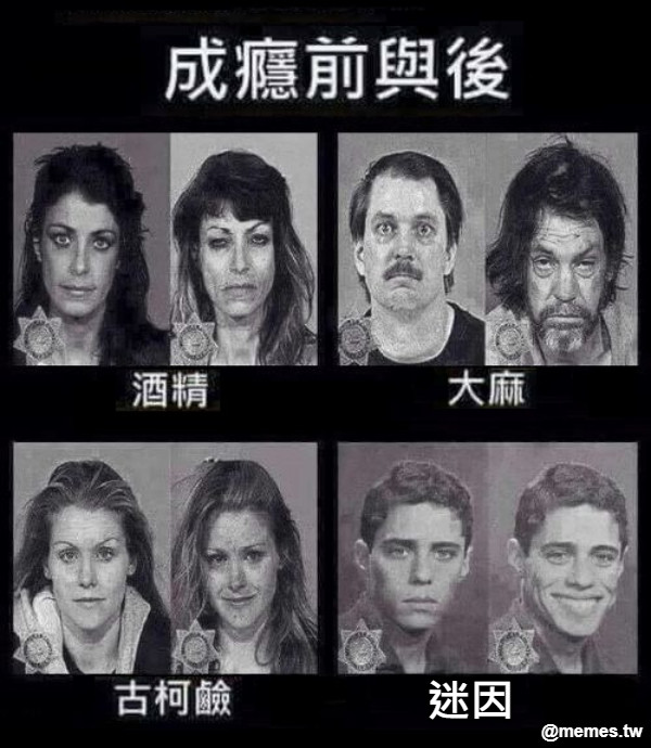 迷因