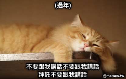 (過年) 不要跟我講話不要跟我講話 拜託不要跟我講話