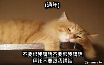 (過年) 不要跟我講話不要跟我講話 拜託不要跟我講話