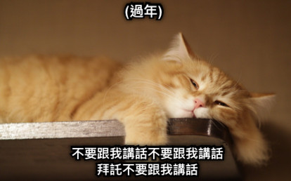 (過年) 不要跟我講話不要跟我講話 拜託不要跟我講話