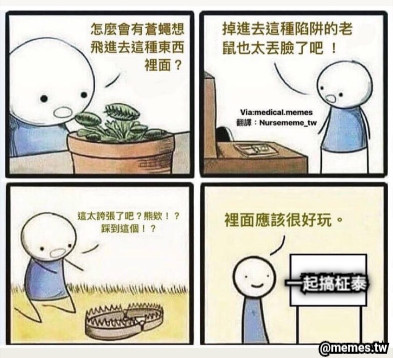 一起搞柾泰