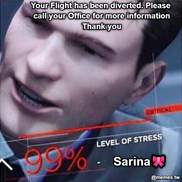 Your Flight has been diverted. Please call your Office for more information Thank you  Sarina🎀