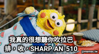 我真的很想聽你吹拉巴 排，收，SHARP AN-510