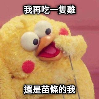 我再吃一隻雞 還是苗條的我