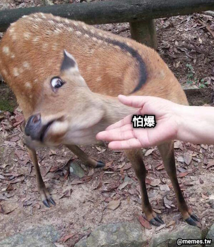 怕爆