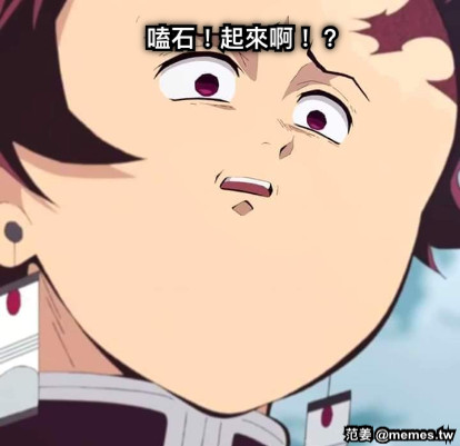 嗑石！起來啊！？