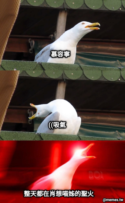 慕容寧 ((吸氣 整天都在肖想喵姊的聖火
