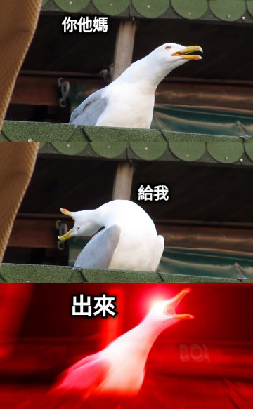 出來 給我 你他媽