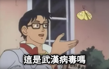 這是武漢病毒嗎