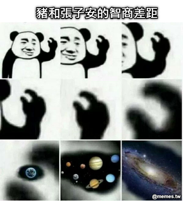 豬和張子安的智商差距