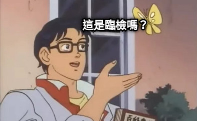 這是臨檢嗎？