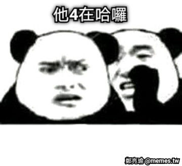 他4在哈囉