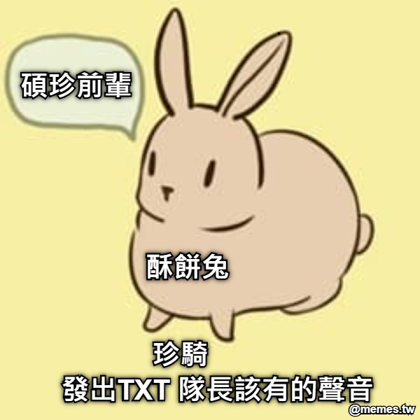 發出TXT 隊長該有的聲音 碩珍前輩 珍騎 酥餅兔