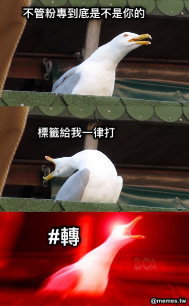 不管粉專到底是不是你的 標籤給我一律打 #轉