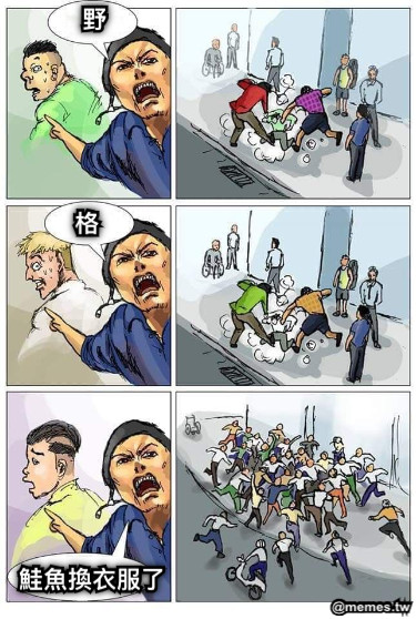 野 格 鮭魚換衣服了