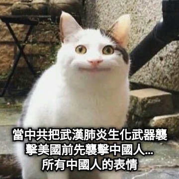 當中共把武漢肺炎生化武器襲擊美國前先襲擊中國人… 所有中國人的表情