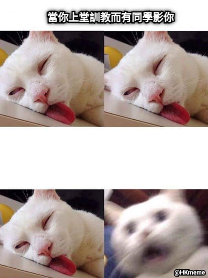 當你上堂訓教而有同學影你