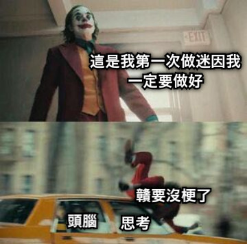 這是我第一次做迷因我一定要做好 頭腦 贛要沒梗了 思考