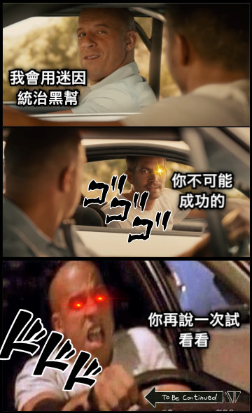 你不可能成功的 我會用迷因統治黑幫 你再說一次試看看