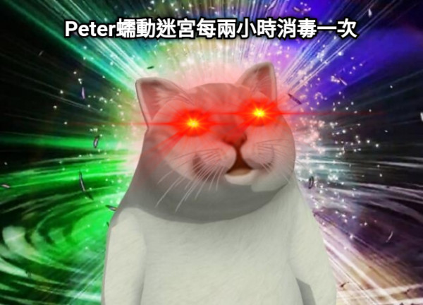 Peter蠕動迷宮每兩小時消毒一次