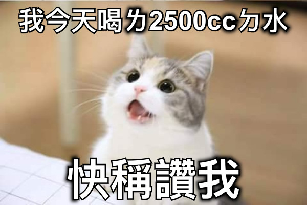 我今天喝ㄌ2500ccㄉ水 快稱讚我