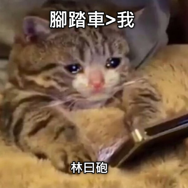 腳踏車&gt;我 林曰砲