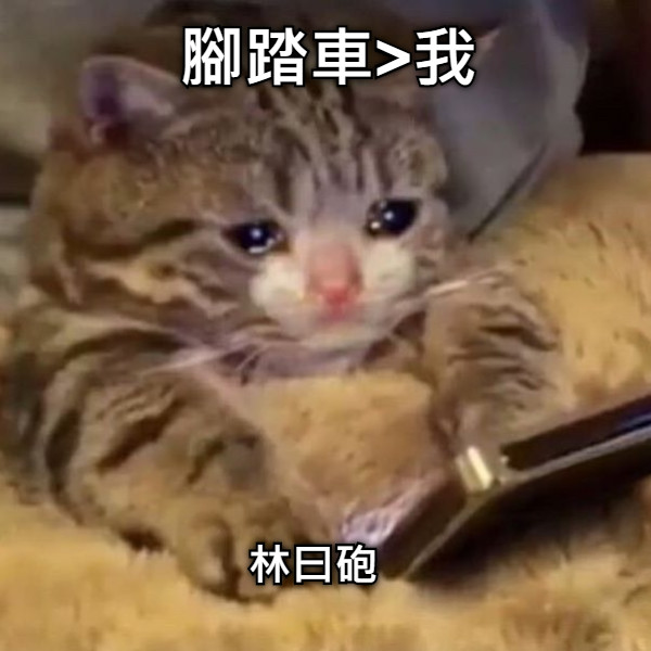 腳踏車&gt;我 林曰砲