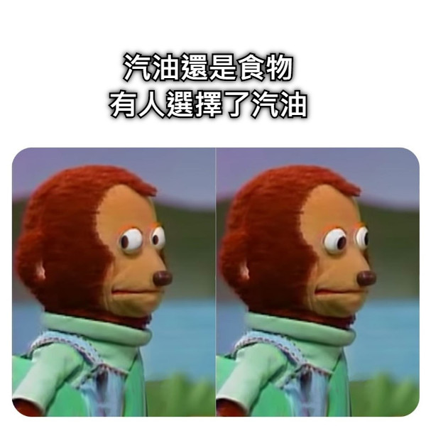 汽油還是食物 有人選擇了汽油