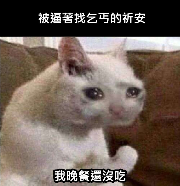 被逼著找乞丐的祈安 我晚餐還沒吃