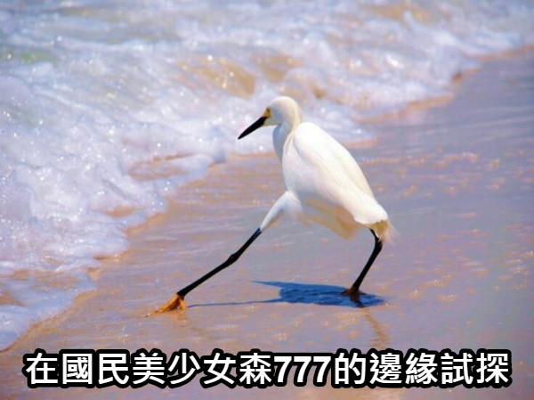 在國民美少女森777的邊緣試探