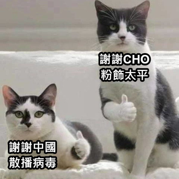 謝謝中國 散播病毒 謝謝CHO粉飾太平