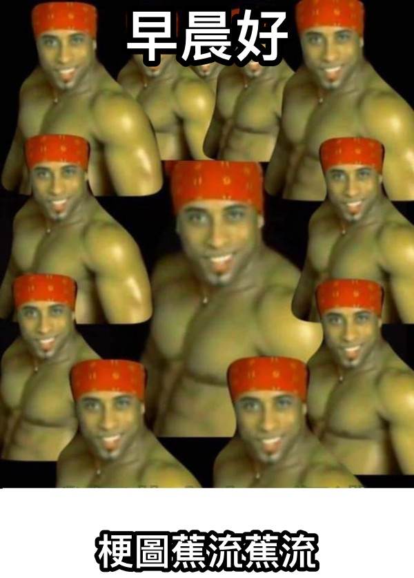 早晨好 梗圖蕉流蕉流