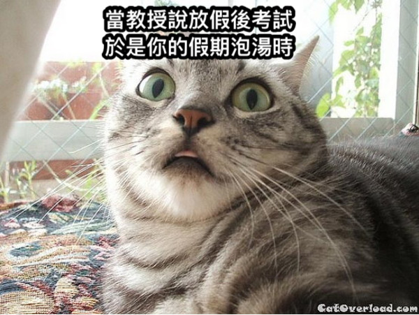 當教授說放假後考試 於是你的假期泡湯時