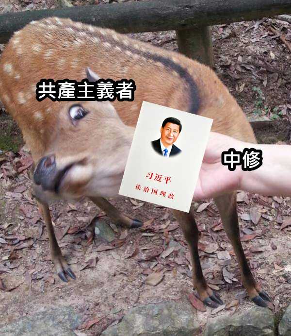 中修 共產主義者