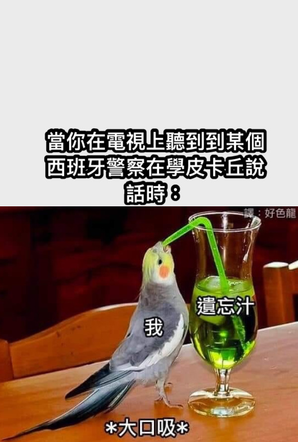 當你在電視上聽到到某個西班牙警察在學皮卡丘說話時：